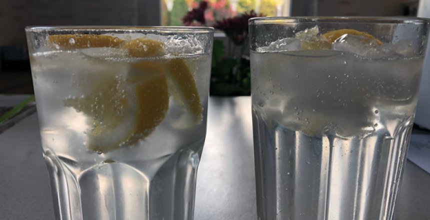 gin tonic mit agavendicksaft - longdrink sommergetränk blog dronezmeup by philipp