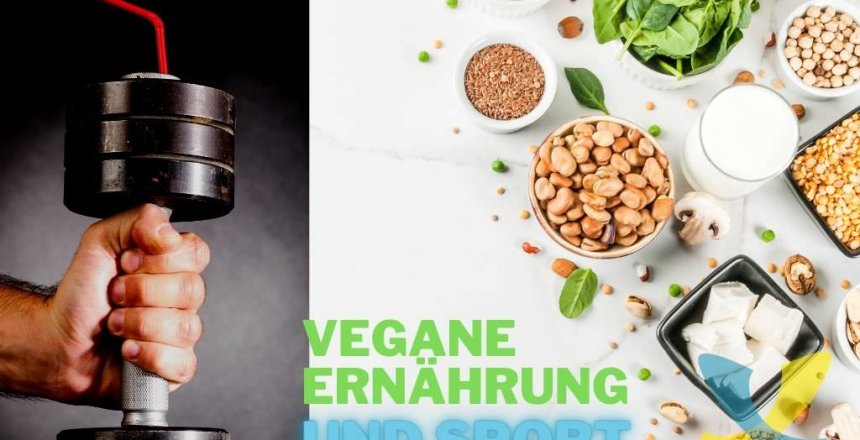 Vegane Ernaehrung und Sport - die Vorteile im neuen Ratgeber vom dronezmeup Blog